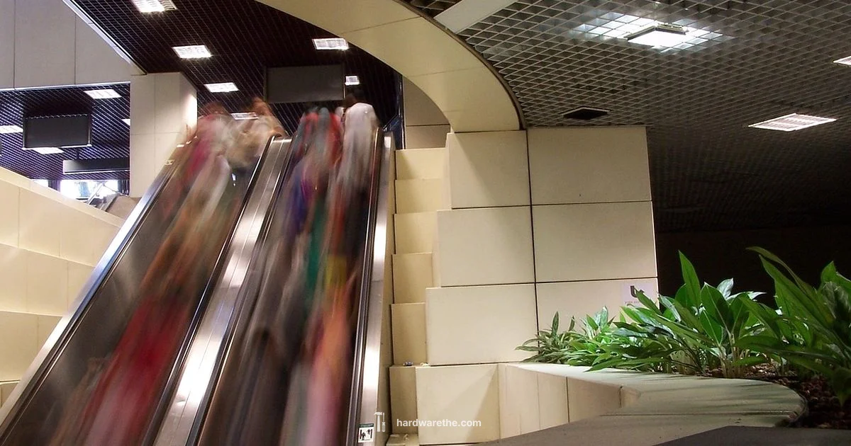 Ace vs Home Depot - The Hardware