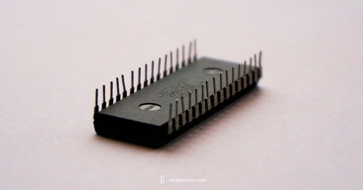 Where to Buy Hardware - The Hardware