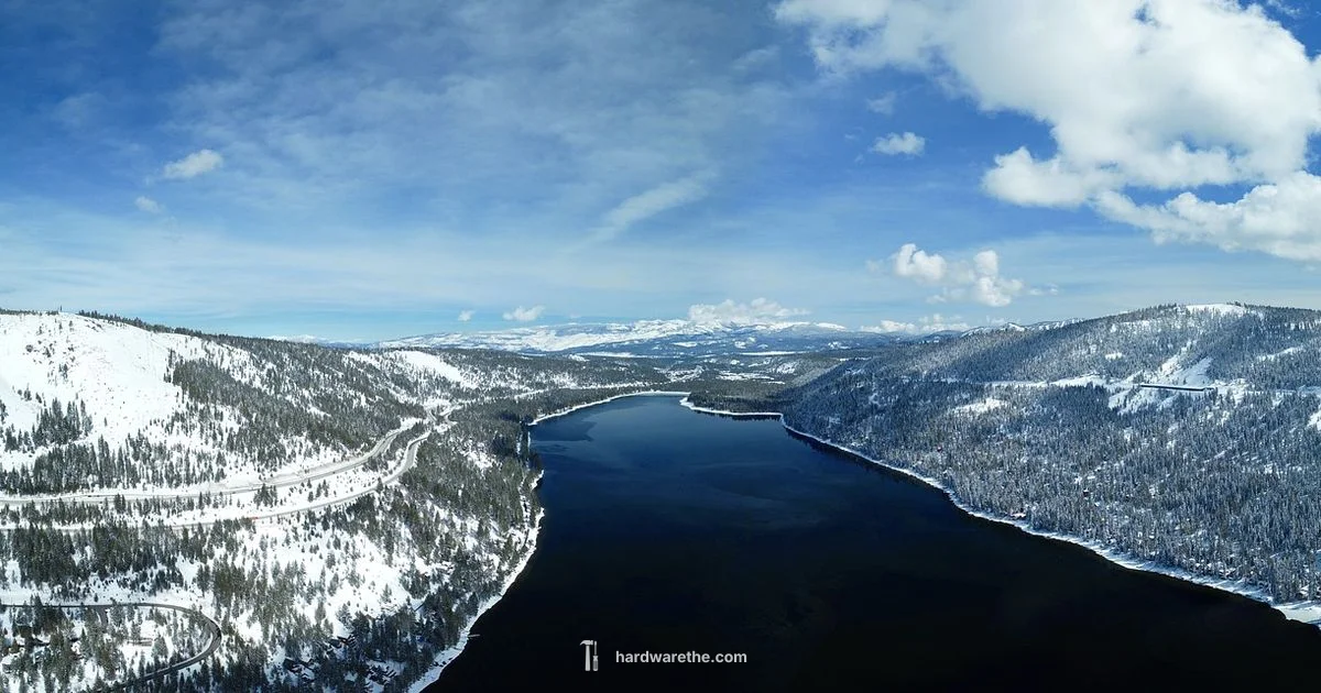 Local Hardware Hub - The Hardware