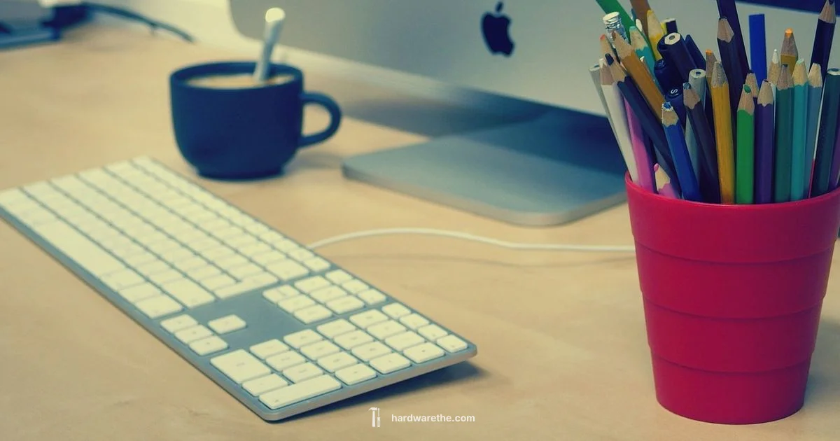 Hardware Bans Explained Hardware Bans Explained - The Hardware