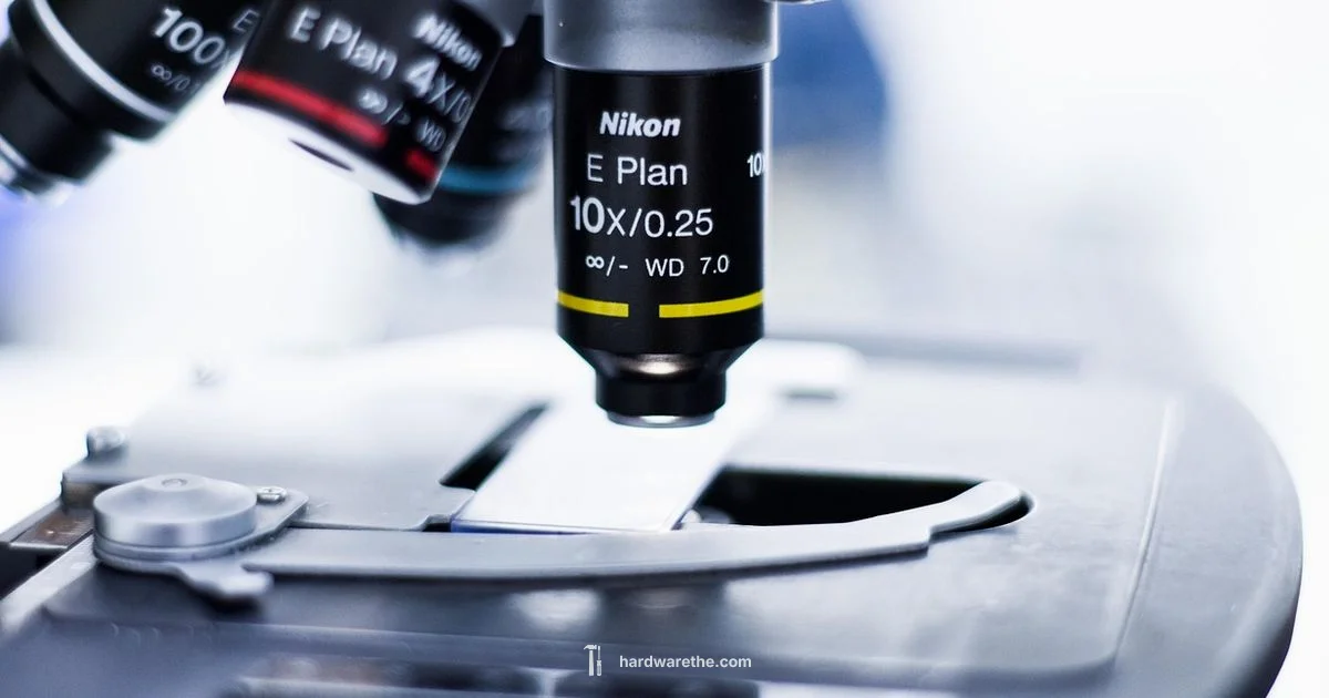 Hardware vs Software - The Hardware