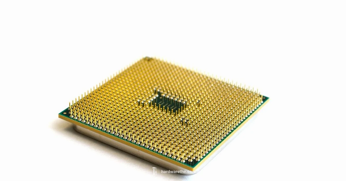 Hardware vs Software - The Hardware