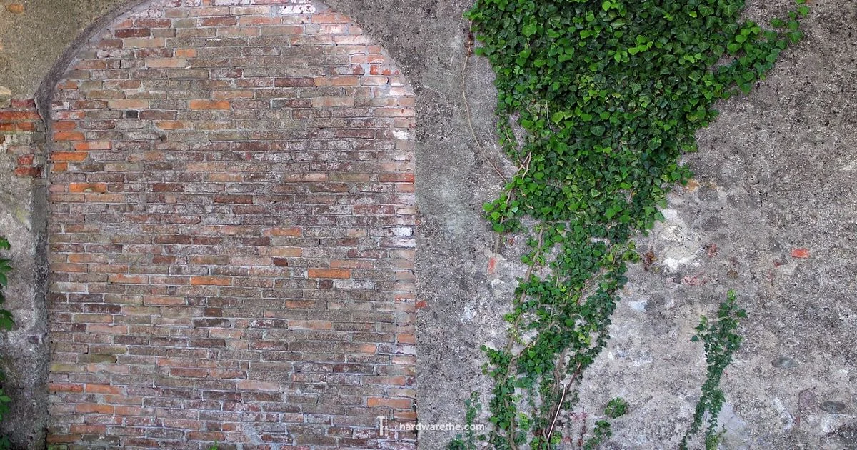 Toggle Bolt Guide Toggle Bolt Guide - The Hardware