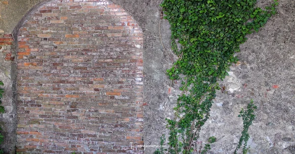 Toggle Bolt Guide - The Hardware