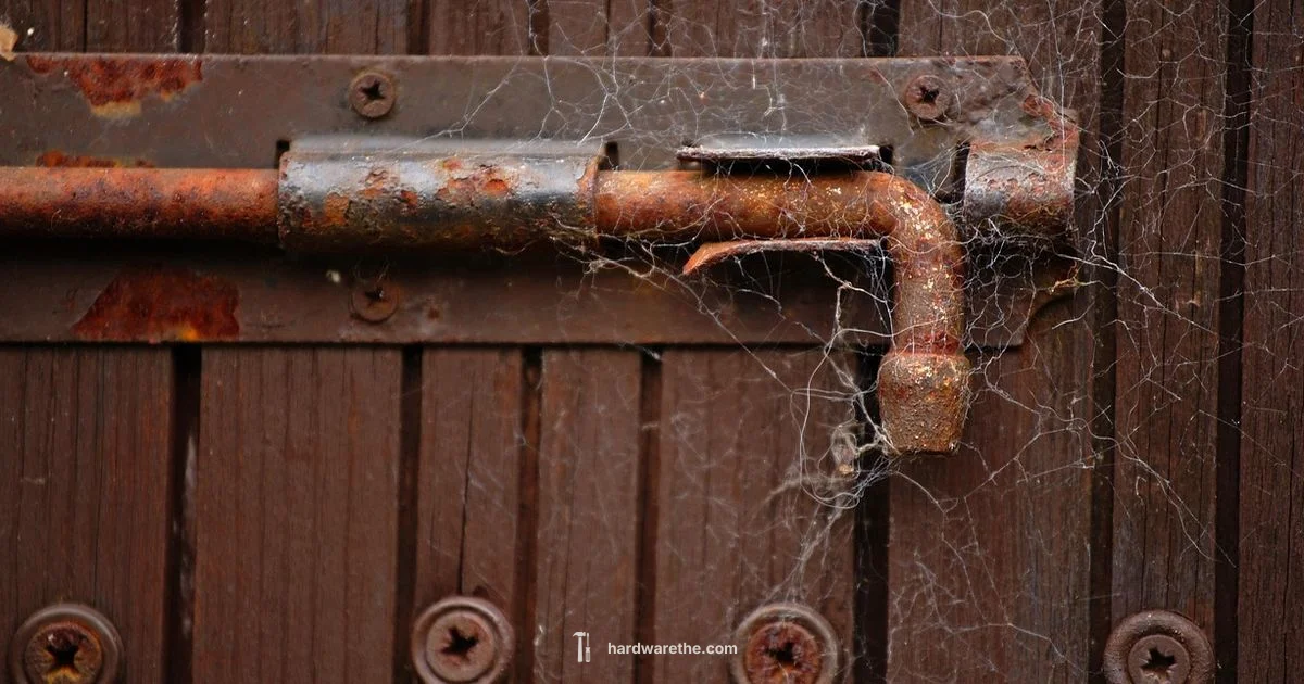 Latch Plate Basics - The Hardware