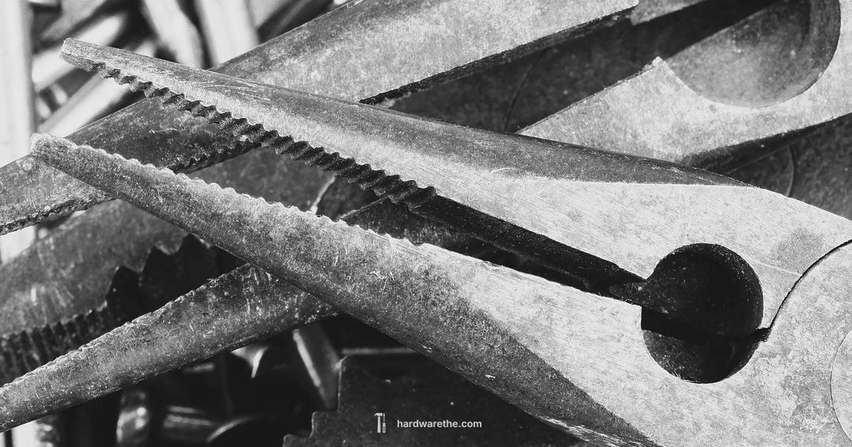 Hardware Items 101 - The Hardware