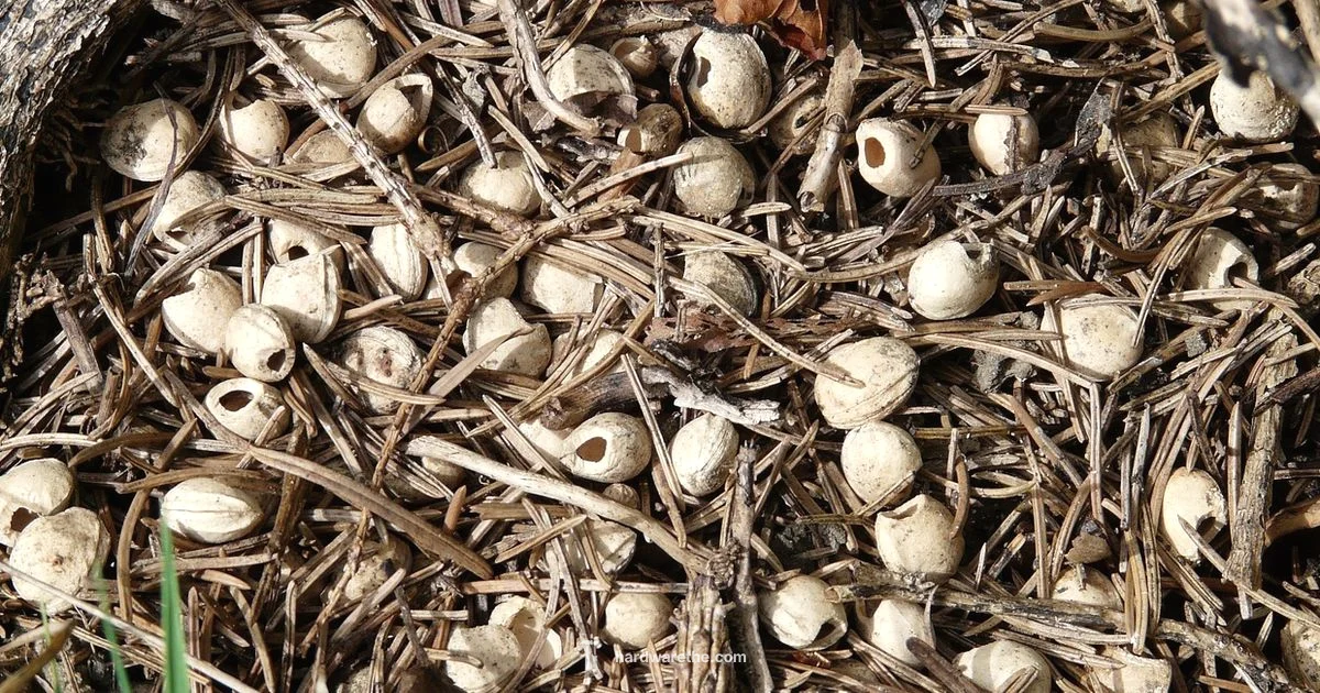 Hardware Supply Essentials Hardware Supply Essentials - The Hardware