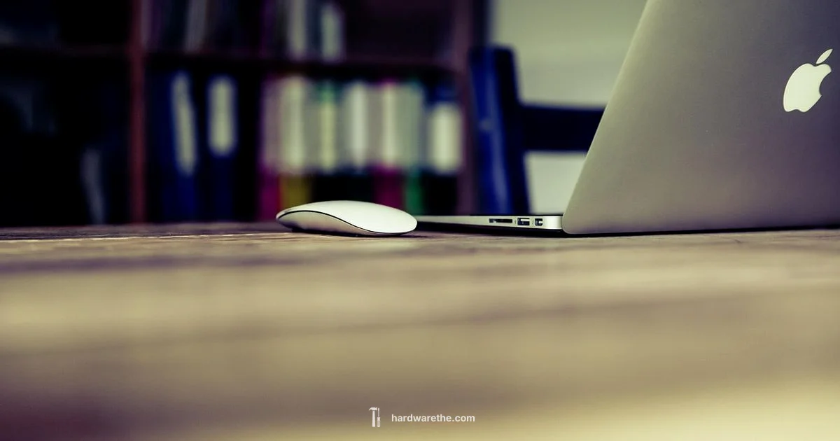 PC Hardware Basics - The Hardware