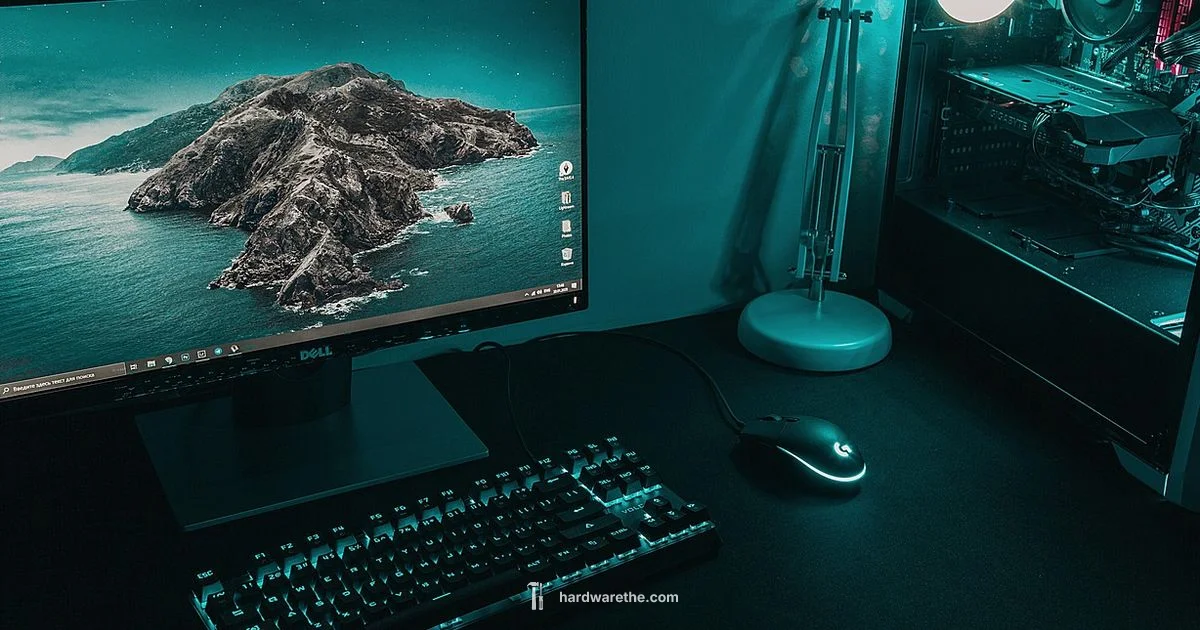 Hardware Acceleration Guide - The Hardware