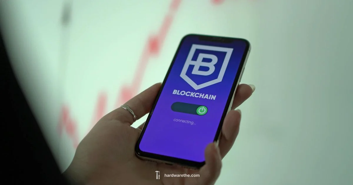 Secure Crypto Wallet - The Hardware