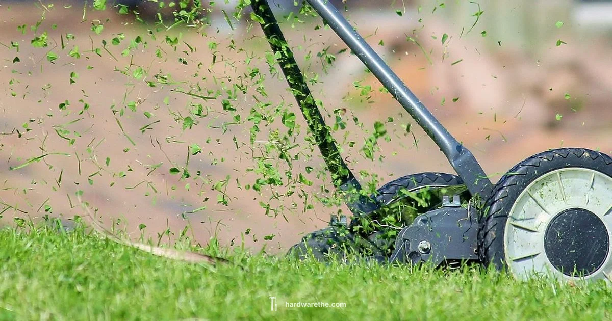 Ace Push Mower Picks Ace Push Mower Picks - The Hardware