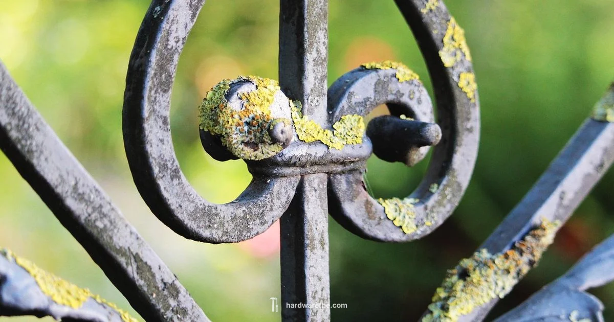 Hardware Cloth Uses - The Hardware