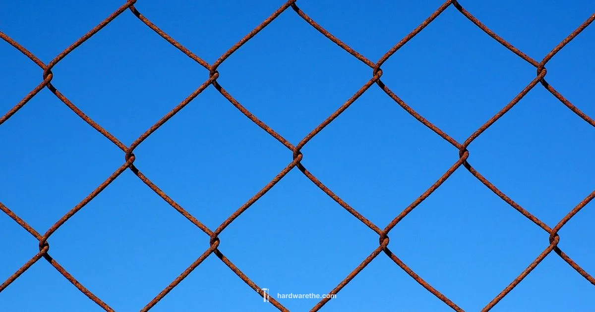 Hardware Cloth Guide - The Hardware