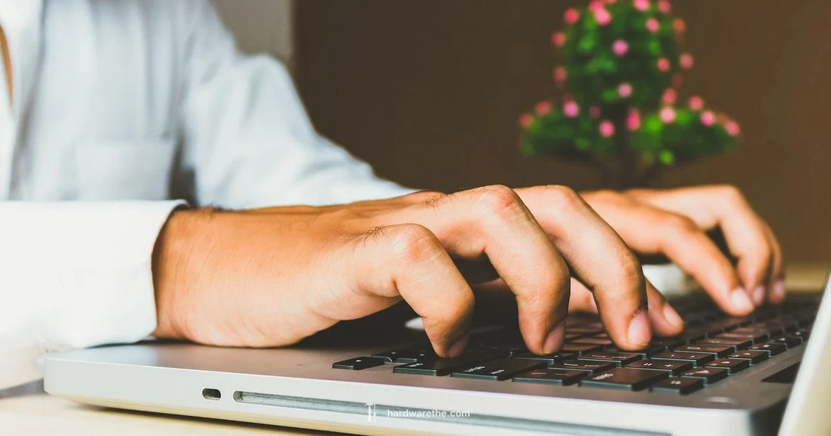 Windows Hardware Guide Windows Hardware Guide - The Hardware