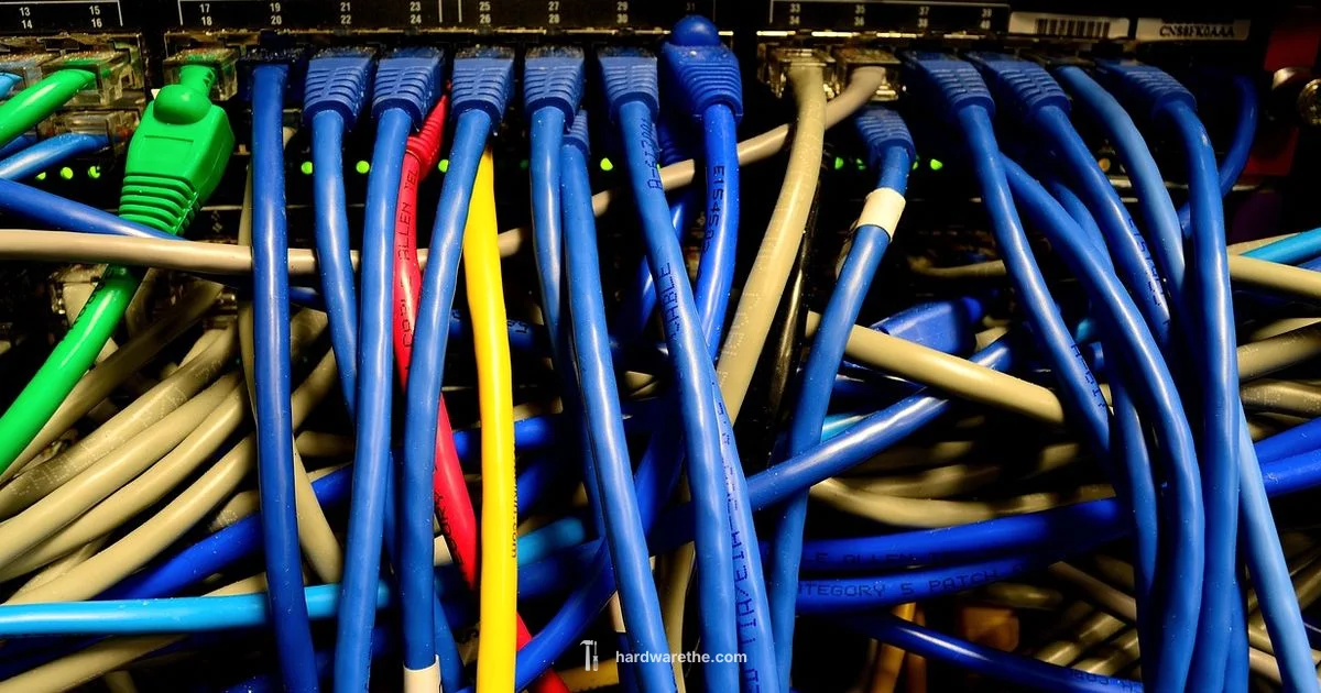 Networking Hardware Guide Networking Hardware Guide - The Hardware