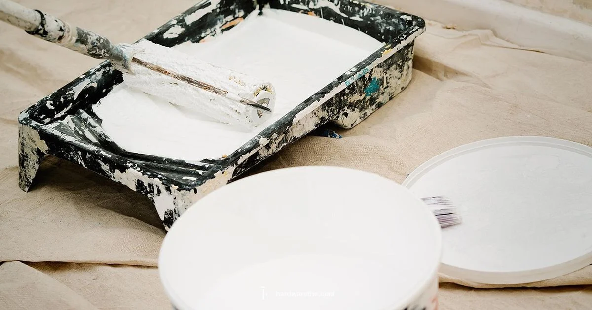 Moore at Ace Hardware Moore at Ace Hardware - The Hardware