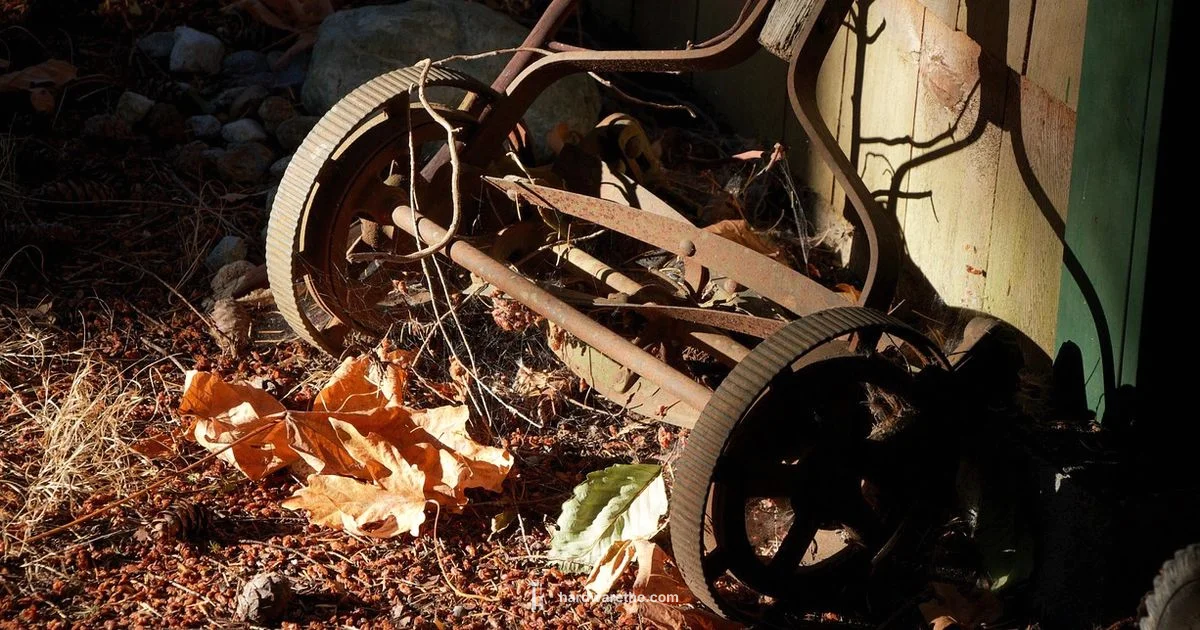 Ace Mower Guide - The Hardware