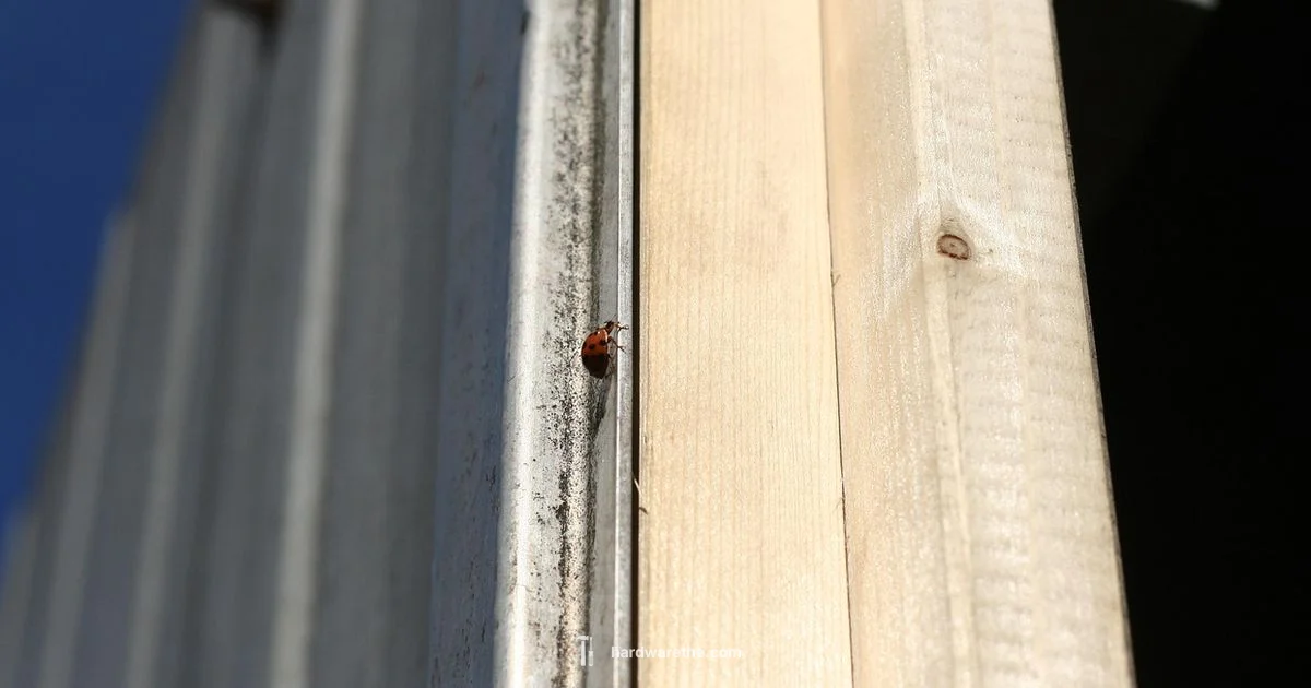 Latch Hardware Guide - The Hardware