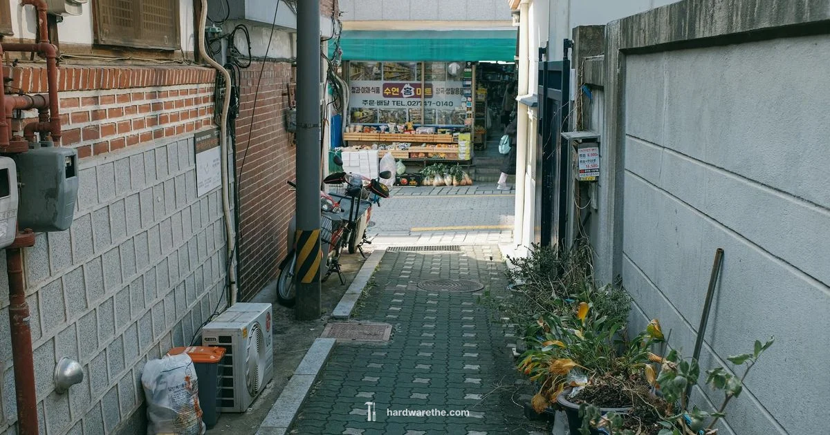 Ace-Style Hardware Stores - The Hardware
