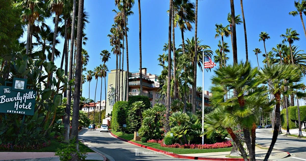 Neighborhood Hardware Hub - The Hardware