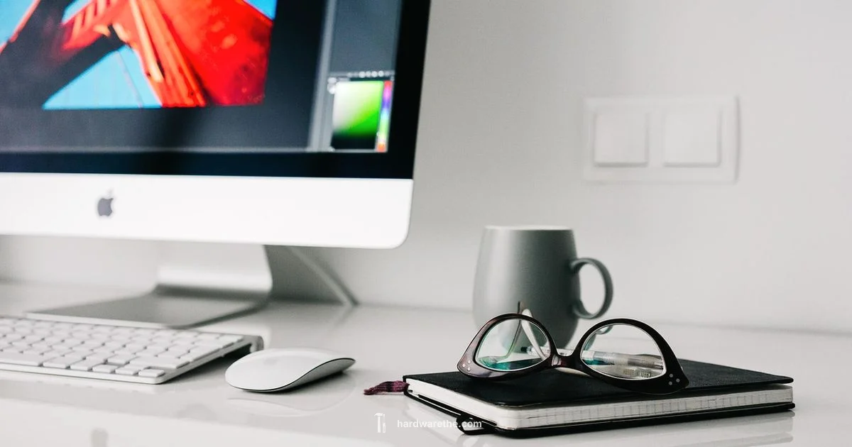 Hardware vs Software - The Hardware