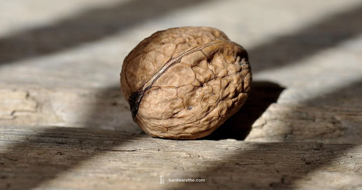 Local DIY Hub Local DIY Hub - The Hardware