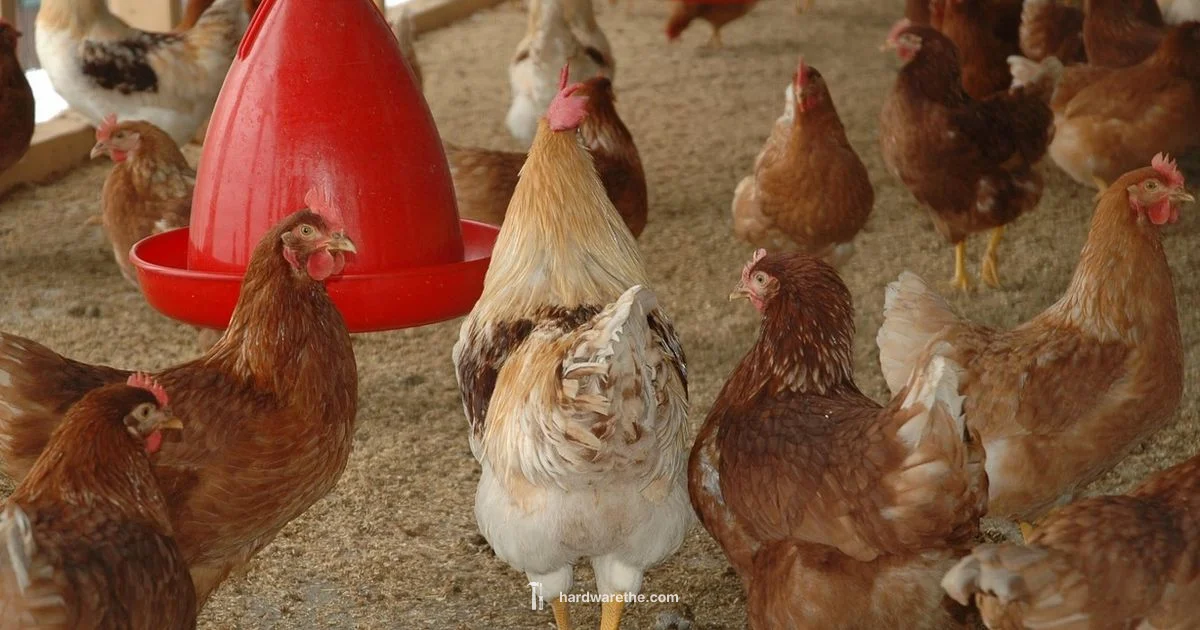 Coop Protection - The Hardware