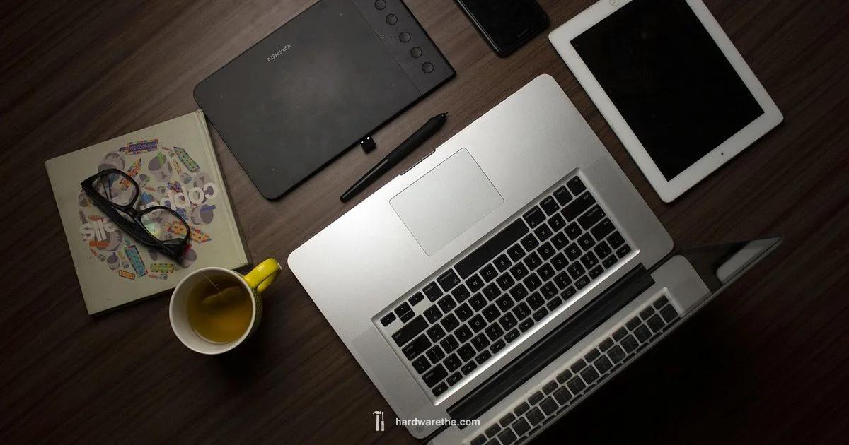 Hardware Accel Guide - The Hardware