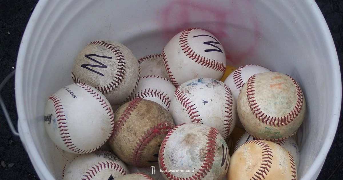 Diamond Dynasty Gear - The Hardware