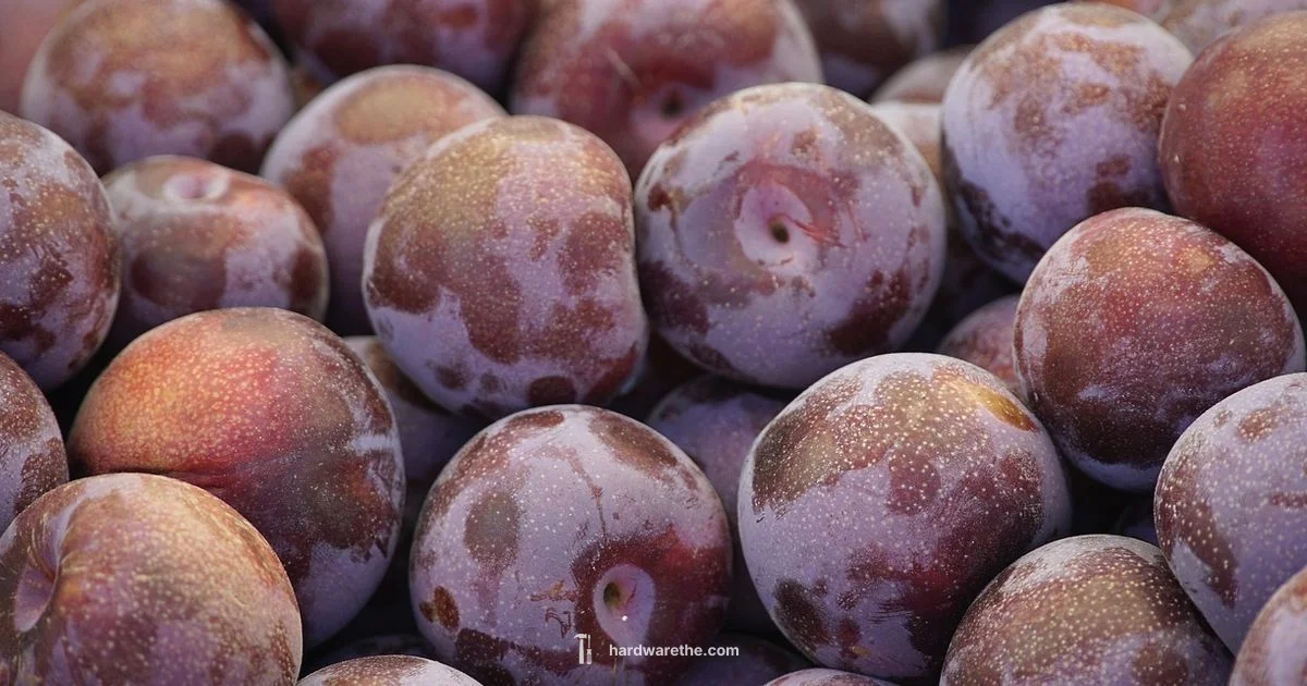 Mix Finishes - The Hardware