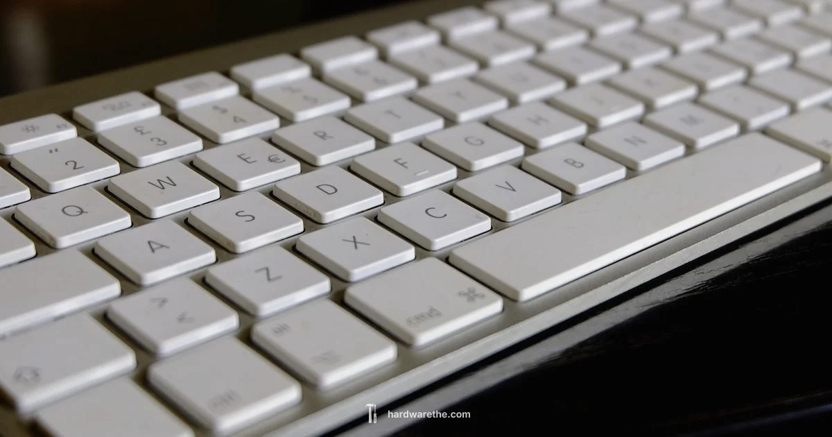 Disable Acceleration - The Hardware