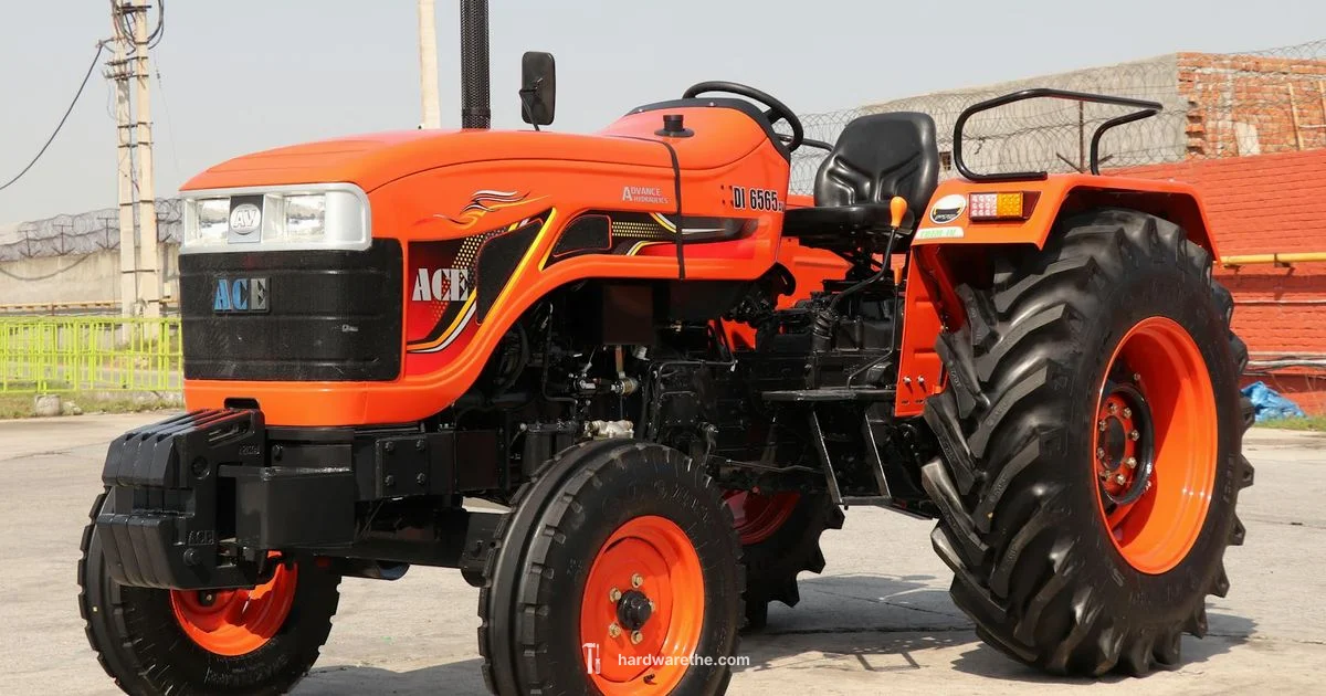 Leaf Blowrs at Ace - The Hardware