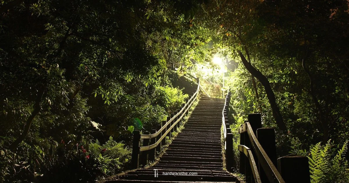 Ace Hardware Garden Grove - The Hardware