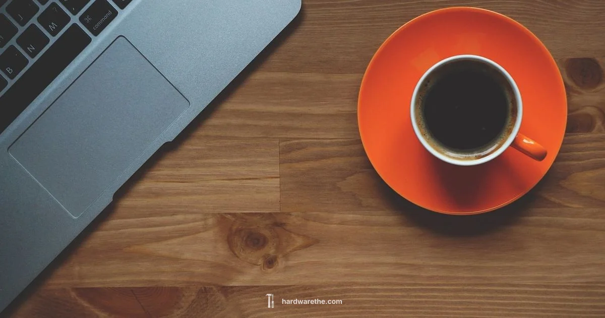 Laptop Hardware Basics - The Hardware