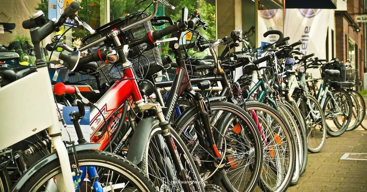 Open Hours - The Hardware