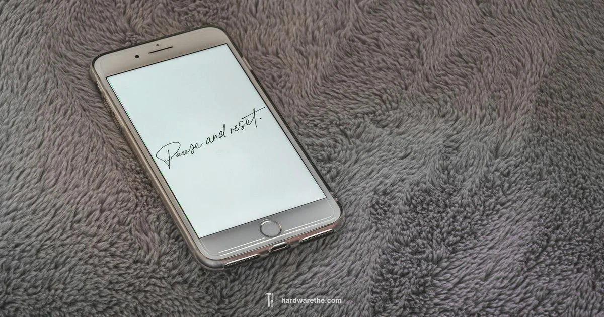 Reset and Data Safety Reset and Data Safety - The Hardware