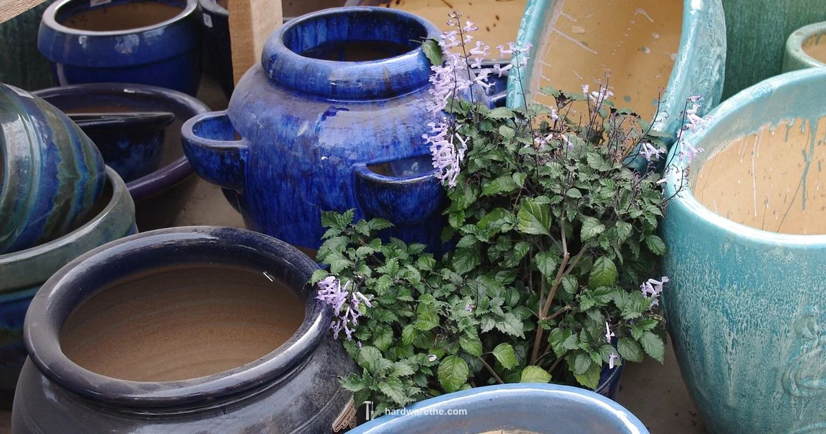 Garden Center Essentials - The Hardware