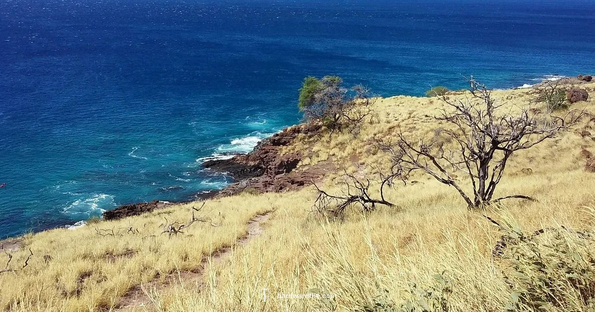 Kihei Hardware Guide - The Hardware