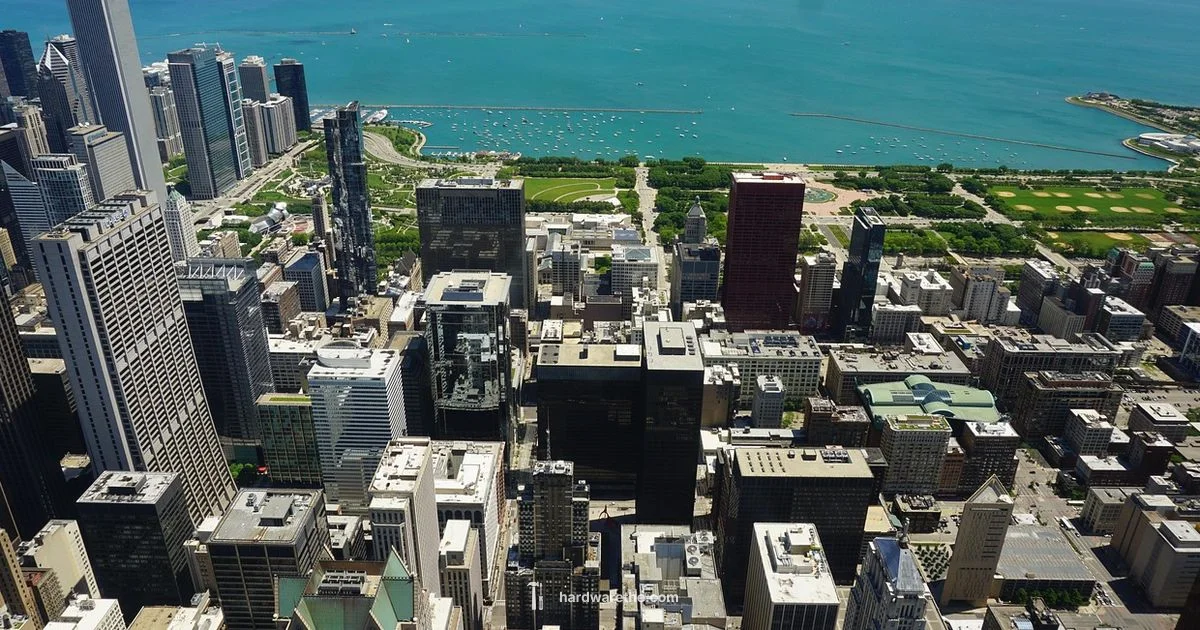 Ace Hardware Start - The Hardware