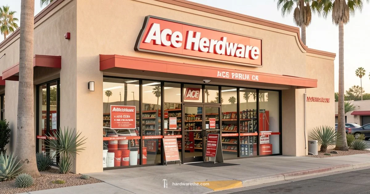 Ace Hardware Palm Springs - The Hardware