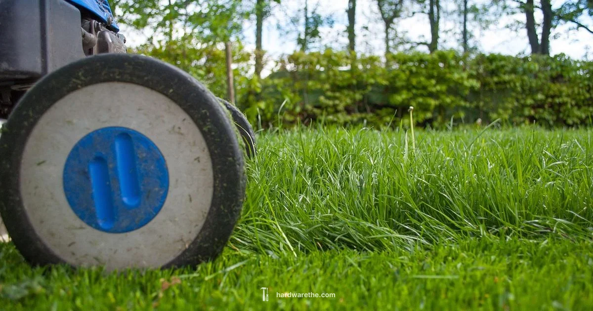 Ace Weed Eater Guide Ace Weed Eater Guide - The Hardware