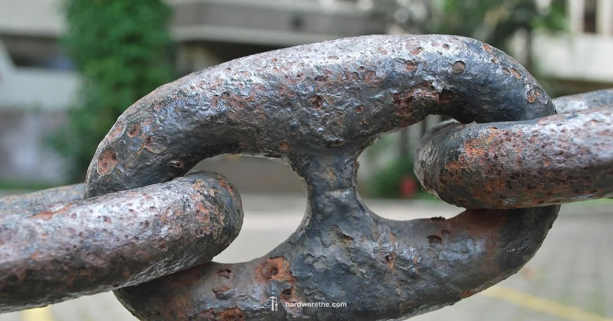 Shackle Essentials - The Hardware