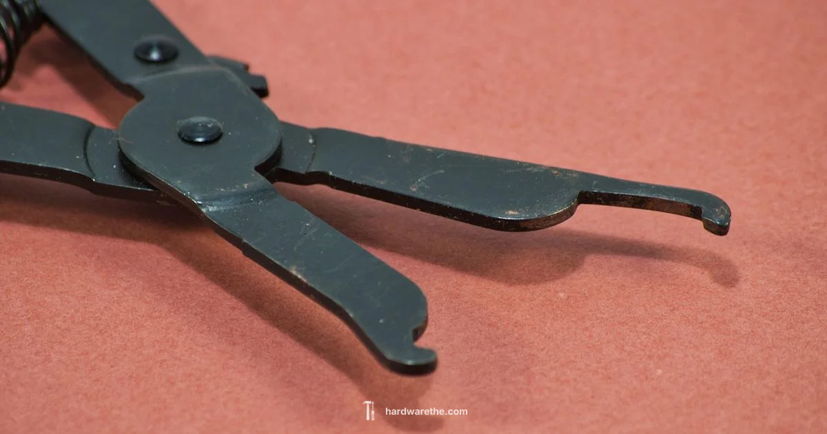 Ace Tool Rentals - The Hardware