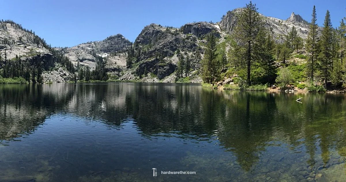 Ace Hardware Tahoe - The Hardware