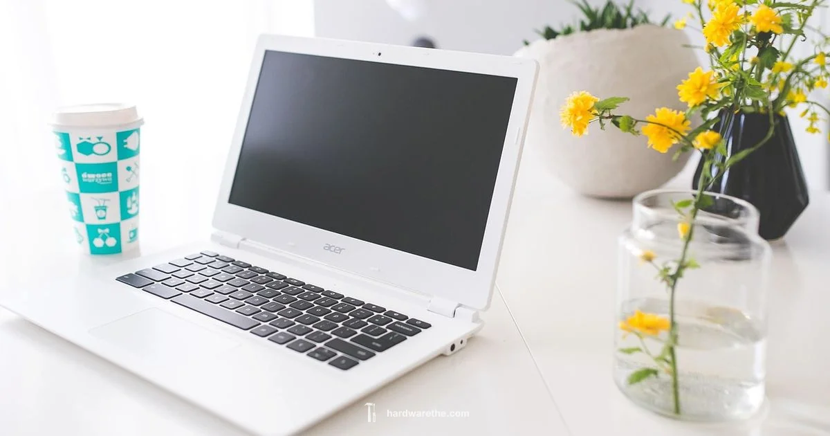 Hard Reset Chromebook Hard Reset Chromebook - The Hardware