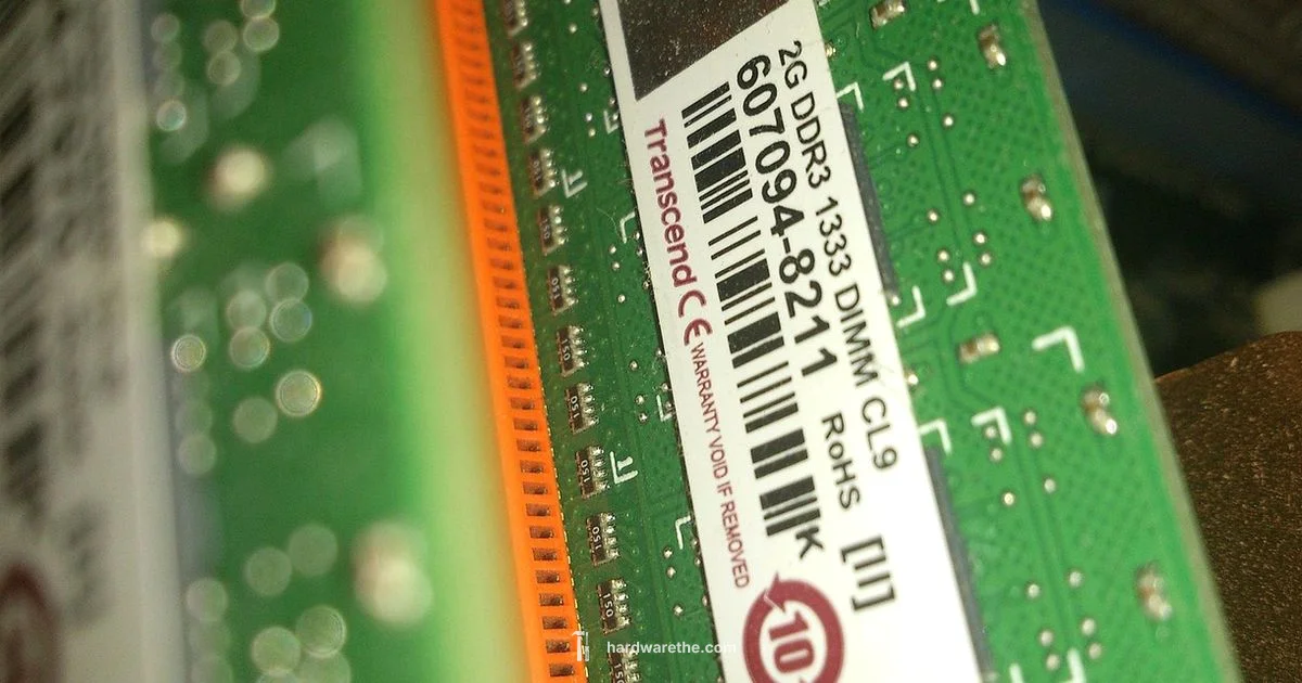 Hardware Virtualization Guide Hardware Virtualization Guide - The Hardware