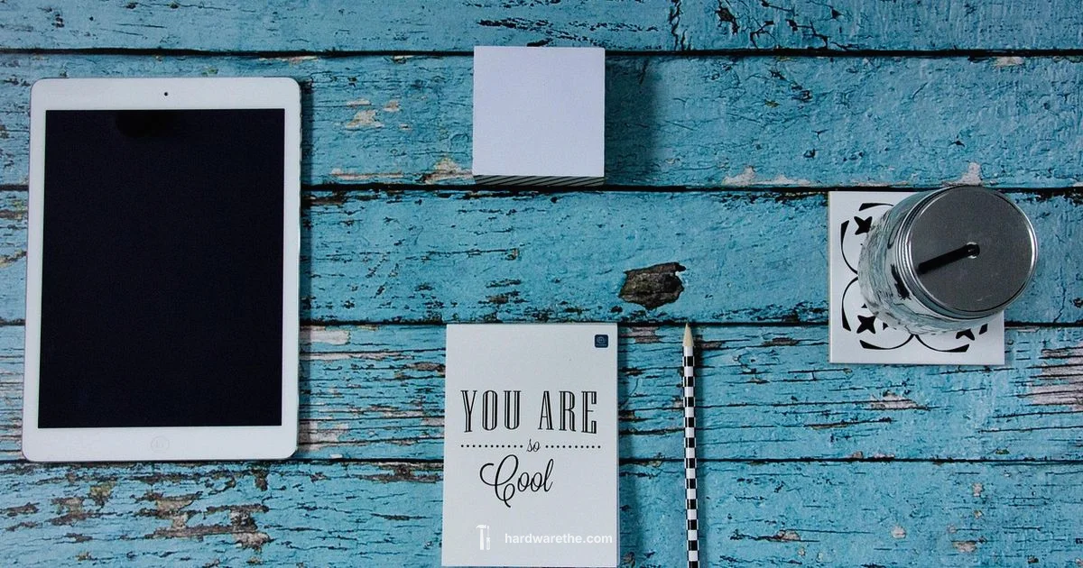 Ban Appeal Guide Ban Appeal Guide - The Hardware