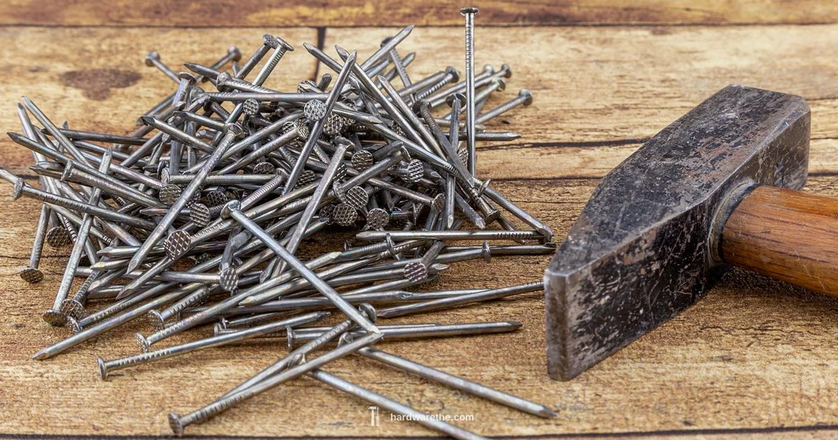 ACE Hardware Guide - The Hardware