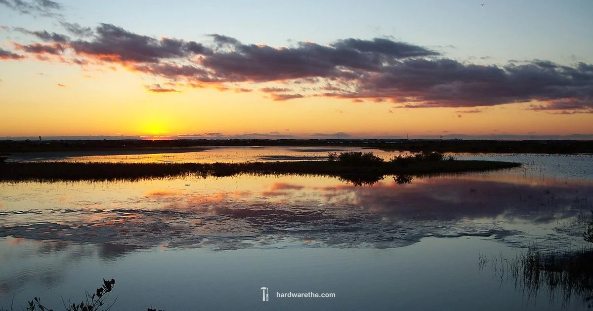 Merritt Island Ace Hardware - The Hardware