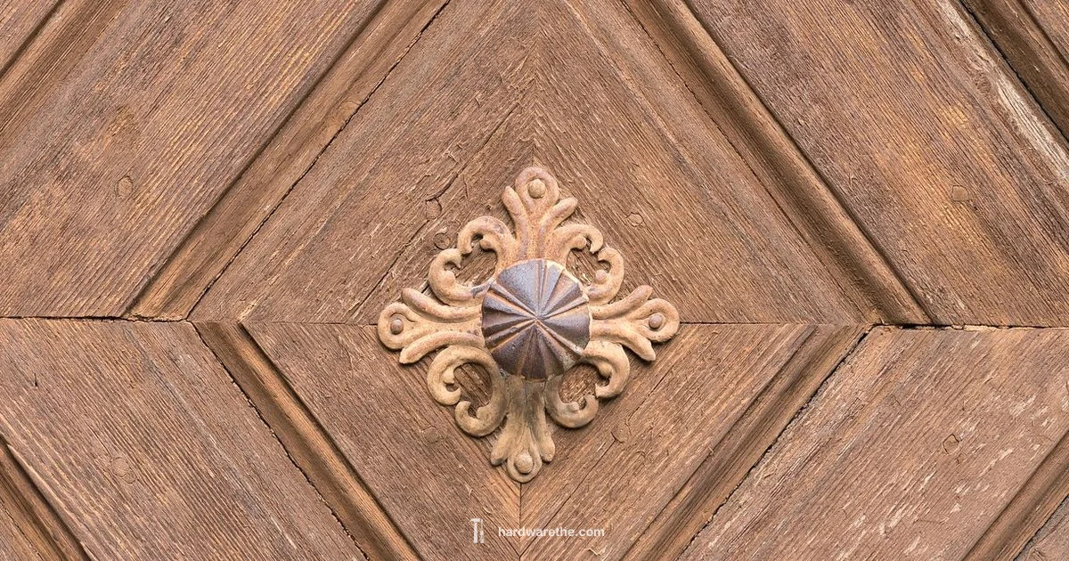 Hasps Guide - The Hardware